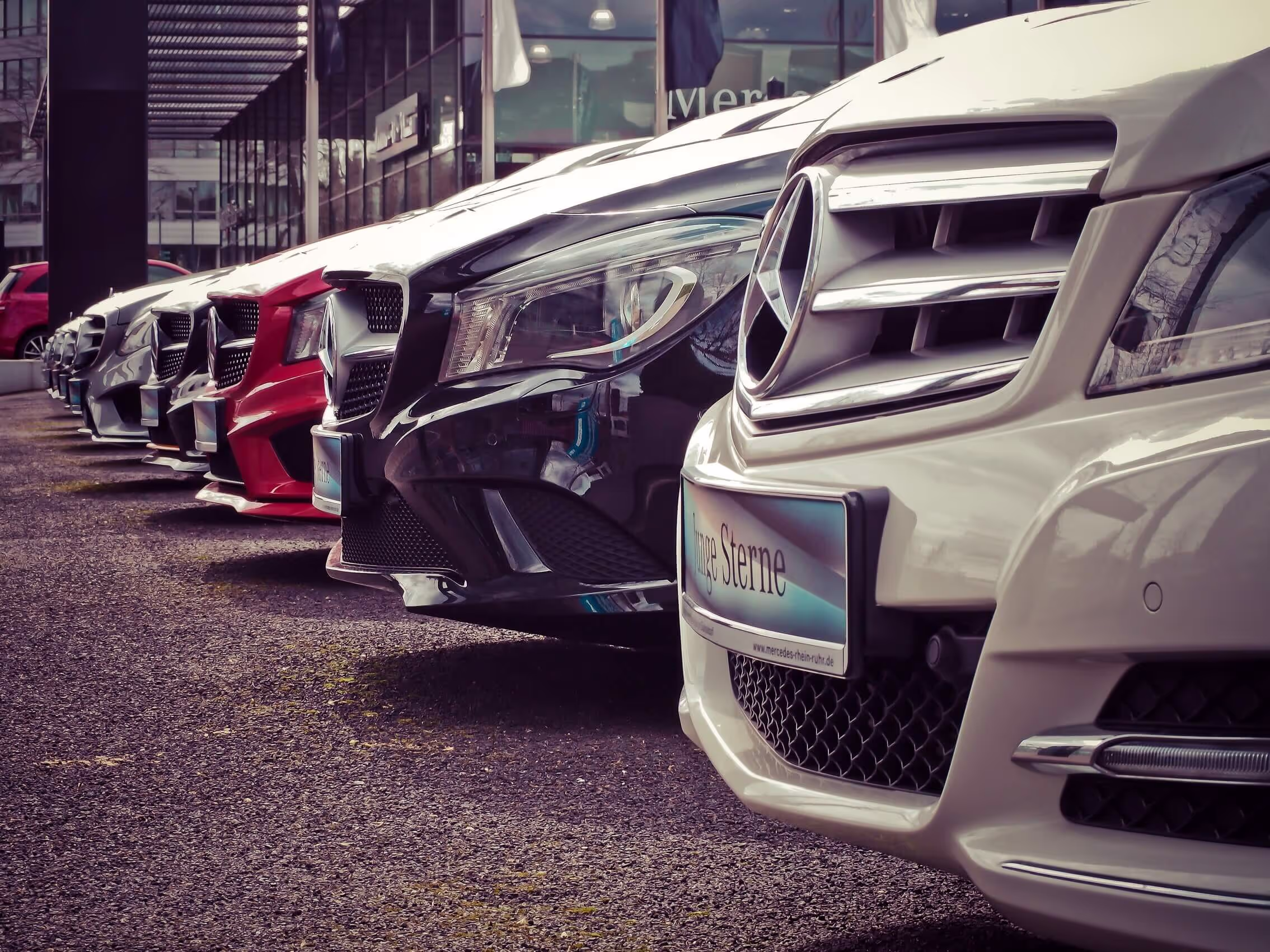 Revving up Profit: Launching Your Car Sharing Service